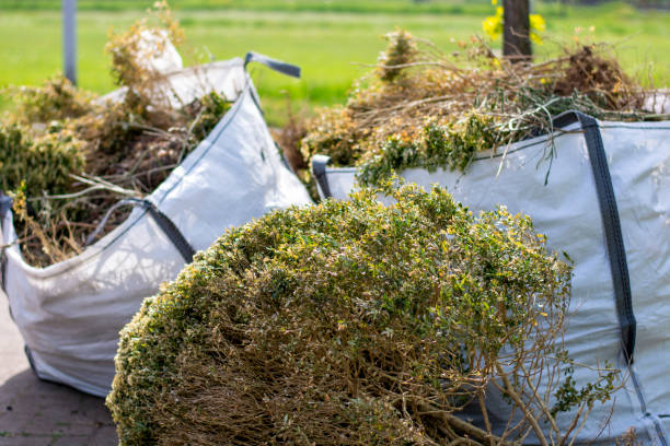 Best Hoarding Cleanup  in Indian Head, MD